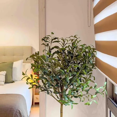 Appartement La Mar 2, A Tan Solo 45 M De La Playa El Campello